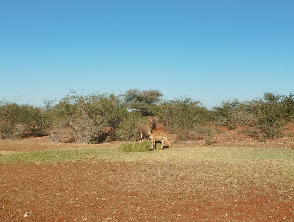 overview of farm land