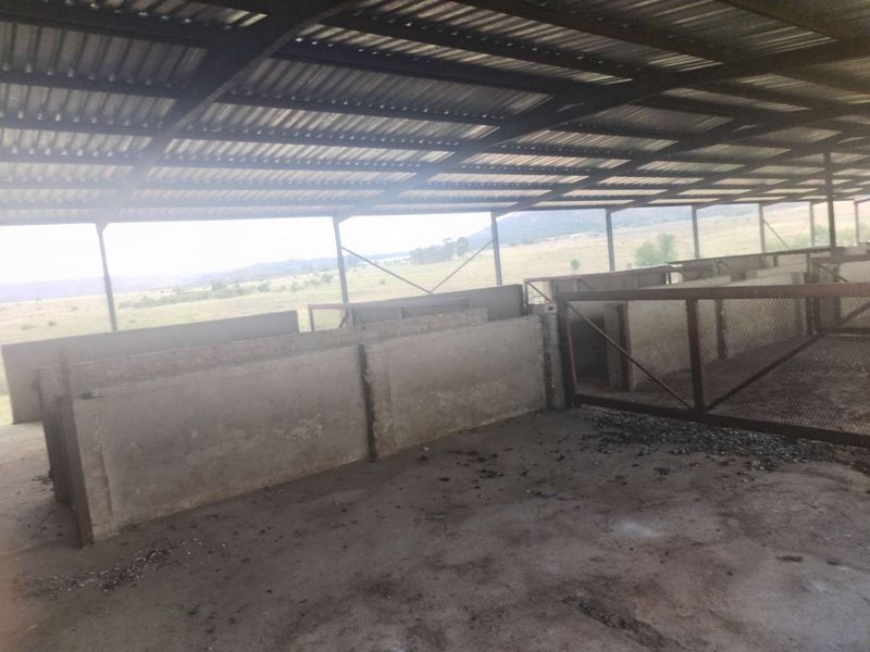 Secluded farm - Photo 9