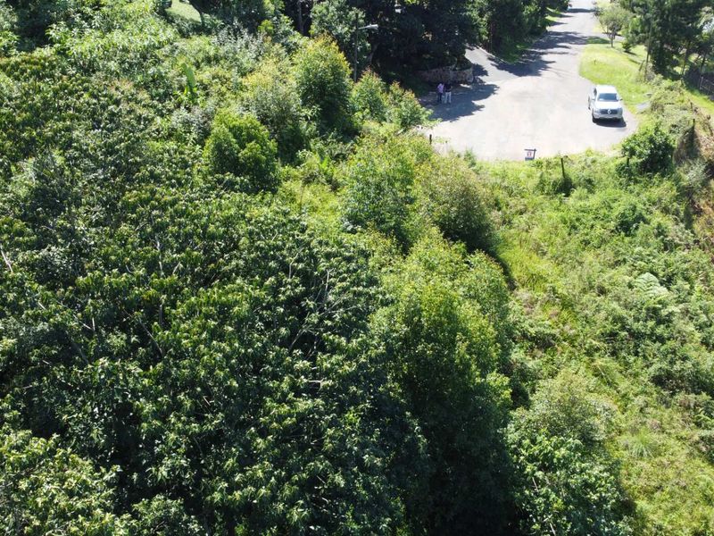 Discover an exceptional opportunity to own prime vacant land in one of the most sought-after areas of the Upper Highway in Gillitts. - Photo 3