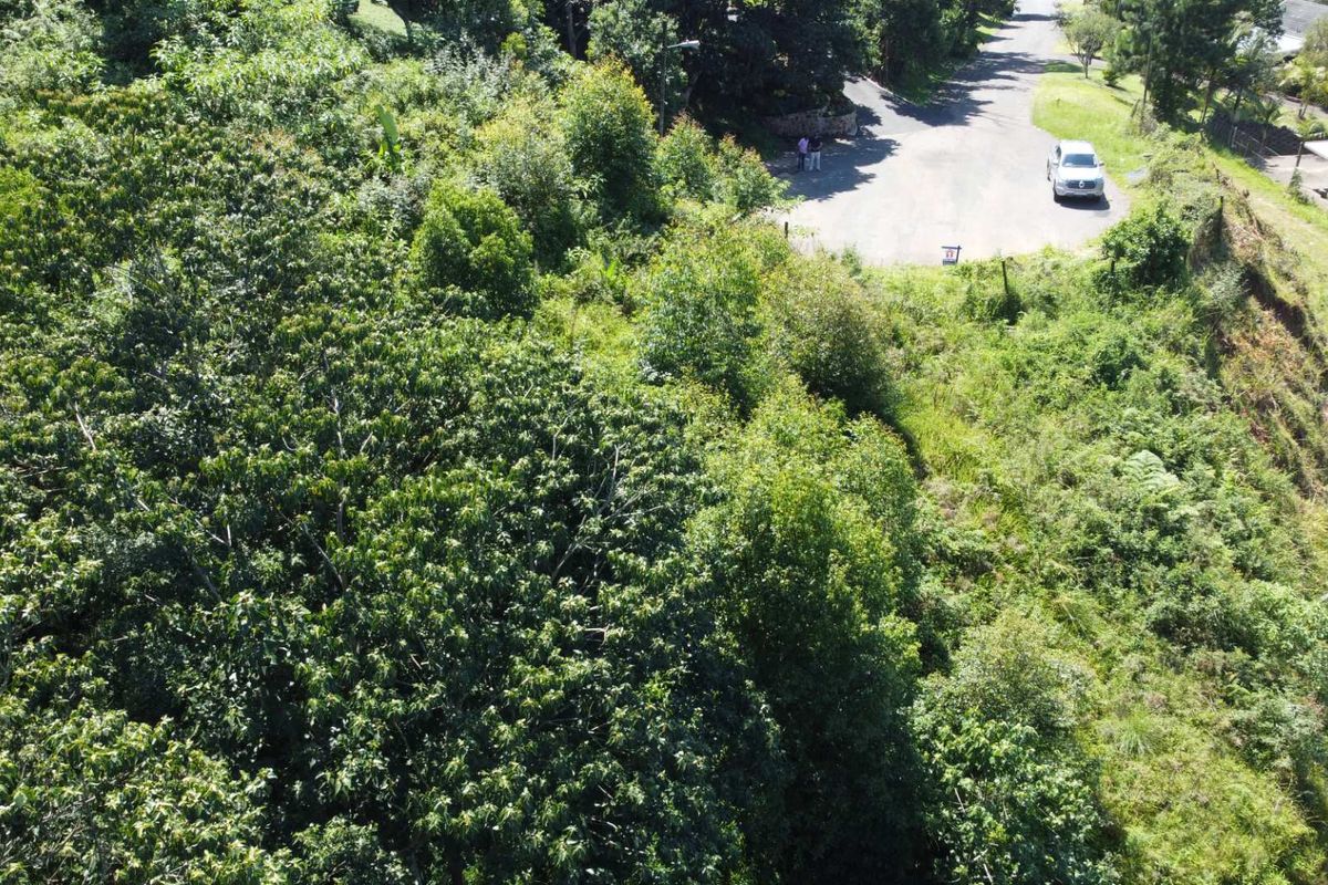 Discover an exceptional opportunity to own prime vacant land in one of the most sought-after areas of the Upper Highway in Gillitts. - Photo 3