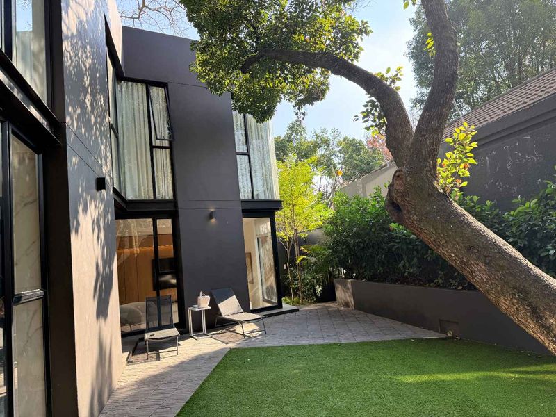 A modern rear garden area featuring a paved patio, artificial lawn, and striking dark-toned architectural facade with large floor-to-ceiling windows.