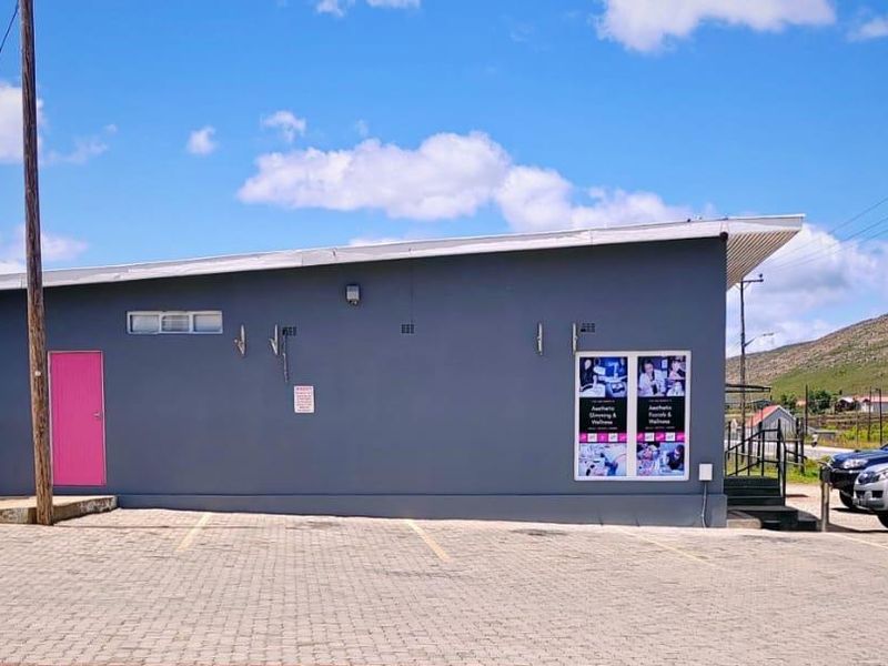 High-Visibility Commercial Investment with Multiple Income Streams - Photo 4