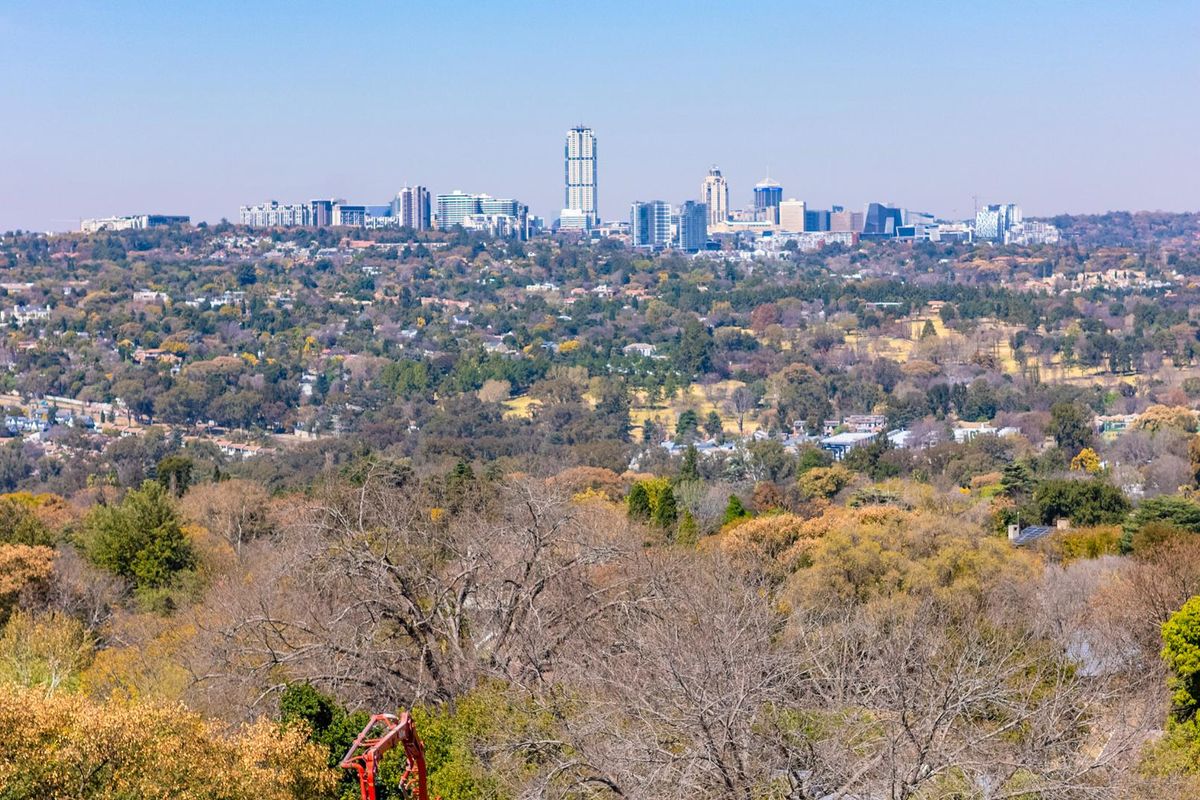 A panoramic elevated view overlooking a lush, tree-filled landscape with the city skyline visible in the distance.