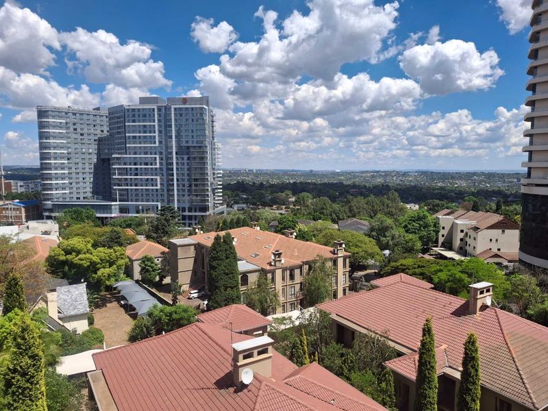 Elevated urban view overlooking surrounding residential rooftops, lush greenery, and modern high-rise buildings under a clear blue sky.