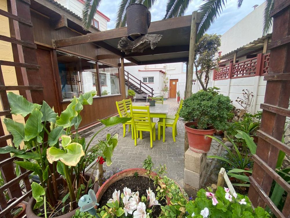 Inner courtyard garden