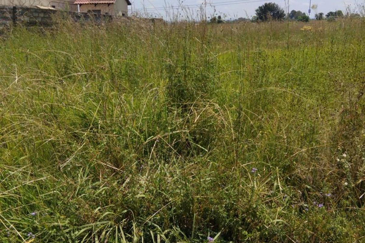 A vacant residential plot featuring overgrown grass and a boundary wall with security fencing, offering a blank canvas for future development.