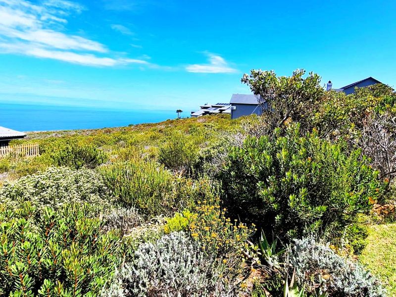 980m2 Vacant Land in Village on Sea with Stunning Ocean Views - Photo 2