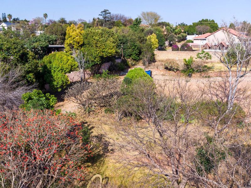 Aerial view of a vacant residential plot featuring established trees, natural vegetation, and perimeter boundary walls in a suburban setting.
