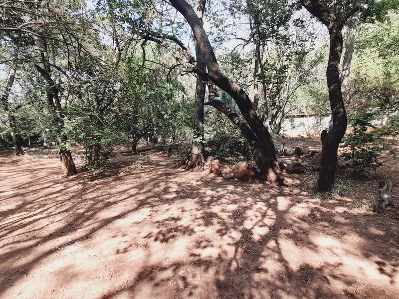 Craft Your Vision on Hartbeespoort's Exclusive Waterfront! - Photo 4