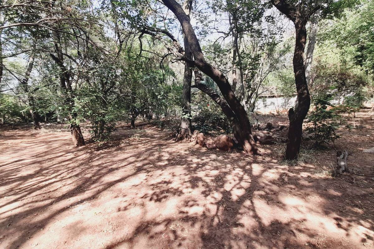 Craft Your Vision on Hartbeespoort's Exclusive Waterfront! - Photo 4