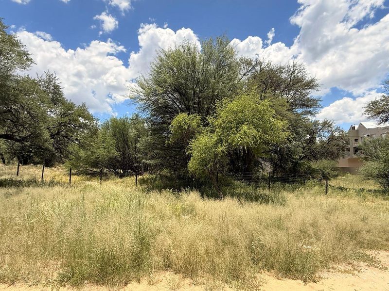 A view of a vacant residential plot featuring mature trees, natural grass, and perimeter wire fencing.