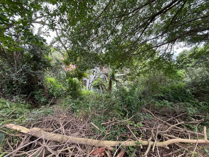 Vacant Land for Sale in Zimbali – 1,252sqm of Prime Coastal Living - Photo 6