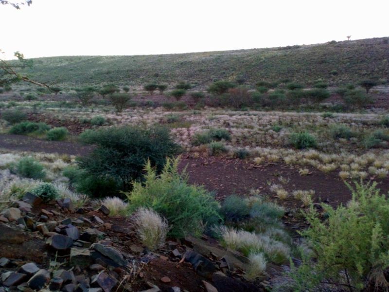 Own a Piece of Paradise: 7.8 Ha Plot Near Karasburg Awaits! - Photo 6