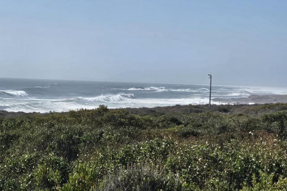 Wake Up at the Sea: Level 798m2 Stand in Exclusive Coastal Nature Reserve - Photo 2