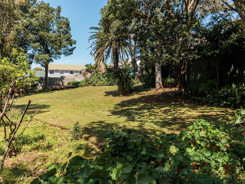 BEAUTIFUL DOUBLE-STOREY PROPERTY WITH POTENTIAL - BUSINESS AND COMMERCIAL ZONING - Photo 6