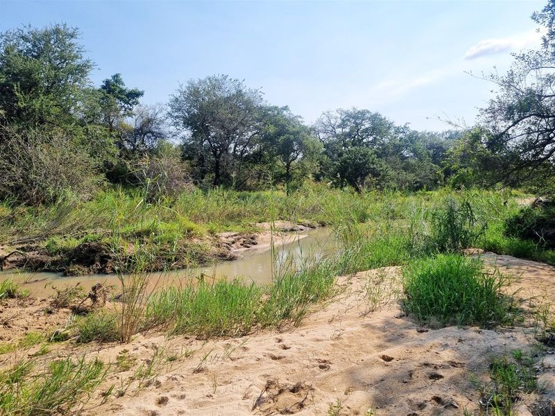 1.9-hectare riverfront stand for sale in Moditlo Wildlife Estate - Photo 9