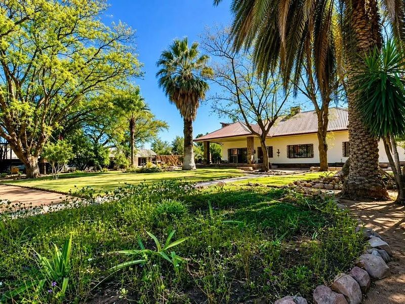 A spacious rear garden featuring mature palm trees, established landscaping, and a view of the house with a metal roof and security-barred windows.