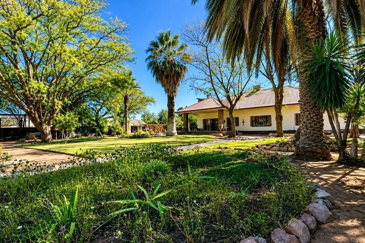 A spacious rear garden featuring mature palm trees, established landscaping, and a view of the house with a metal roof and security-barred windows.