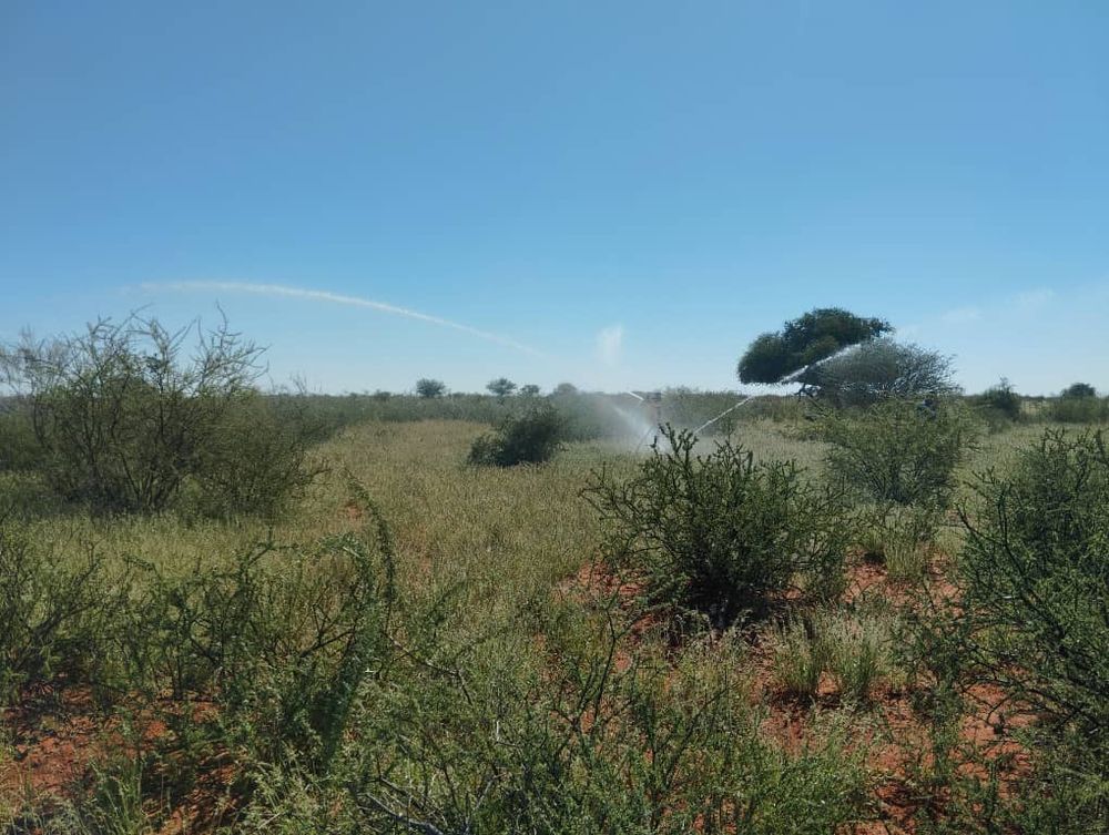 overview of farm land
