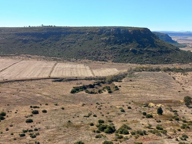 Unmatched Opportunity: Farm & Bottling Biz in One - Photo 4