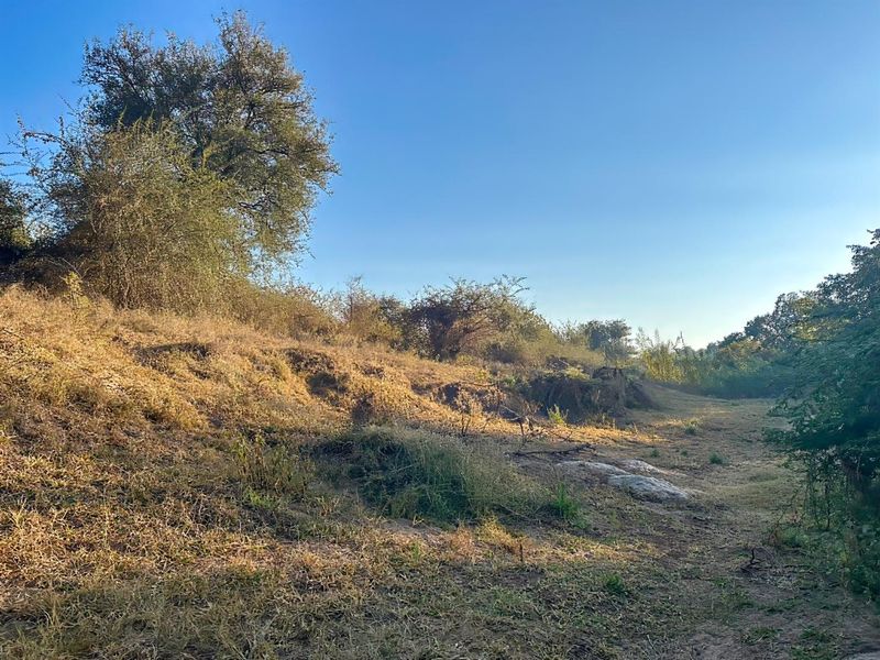 Exceptional Bushveld Stand with River Access - Photo 3