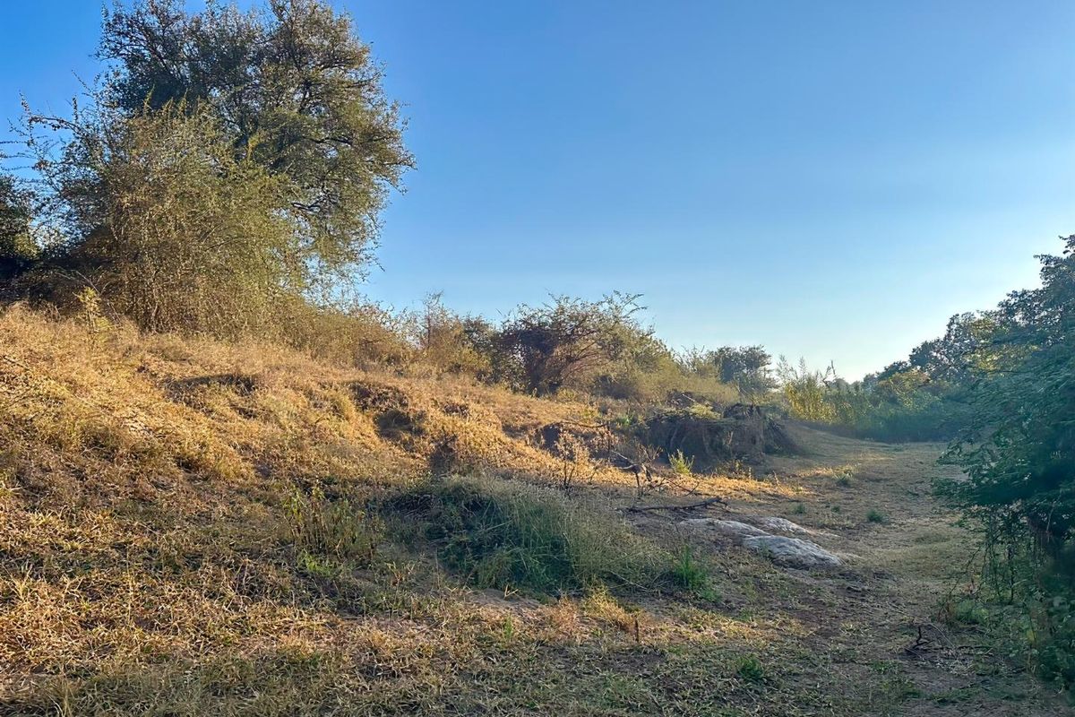 A view of the natural, undeveloped residential land featuring sloped terrain and established native trees and shrubs.