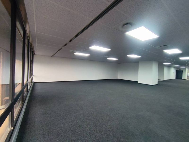 A spacious, empty open-plan office area featuring neutral carpeting, a suspended ceiling with recessed lighting, and large windows providing natural light.