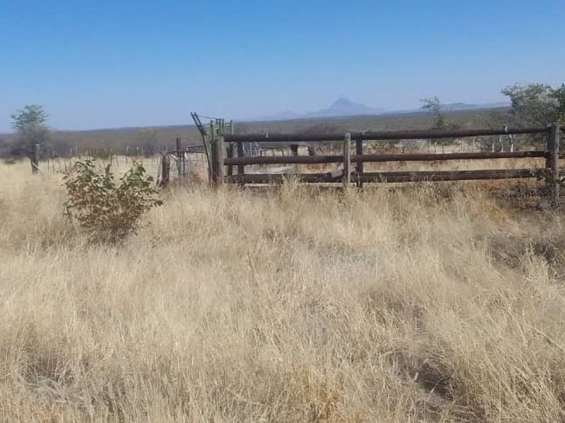 A rural farm landscape featuring weathered timber post and rail fencing, wire perimeter fencing, and a livestock handling gate set in open veld.