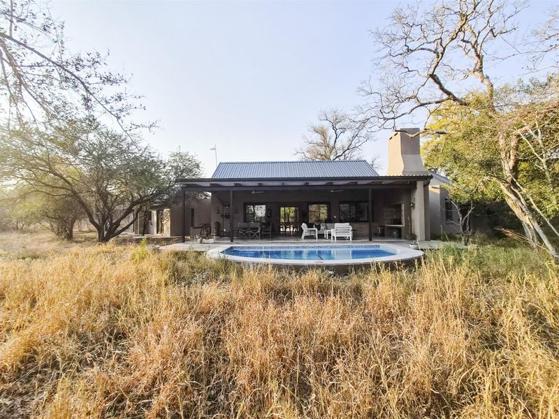 Rear view of the property featuring a covered patio, outdoor fireplace, and a swimming pool set within a natural bushveld landscape.