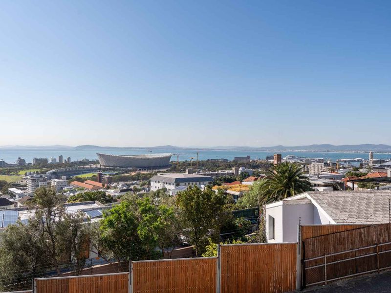 Elevated panoramic view overlooking the city, stadium, and coastline, featuring clear sightlines of the surrounding urban landscape and ocean.
