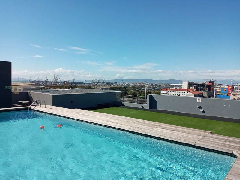 Rooftop swimming pool area featuring timber decking, artificial grass, and panoramic city and harbour views.