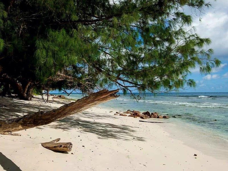 Exceptional beachfront development land La Digue - Photo 10
