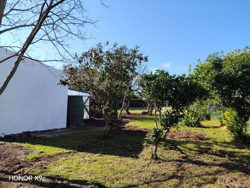 A spacious backyard garden area featuring established trees, a lawn, and a fixed water storage tank against the side of the house.