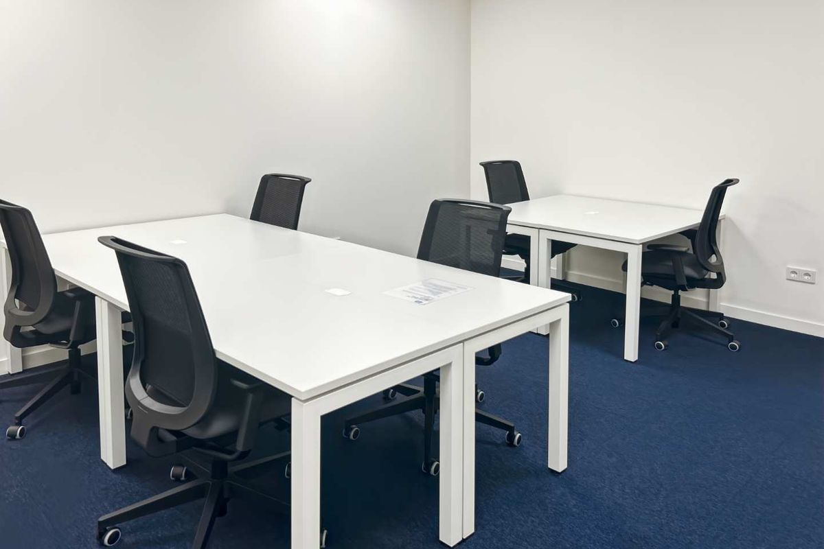 A clean, functional office space featuring blue carpeting, white walls, and a suspended ceiling, suitable for a professional work environment.