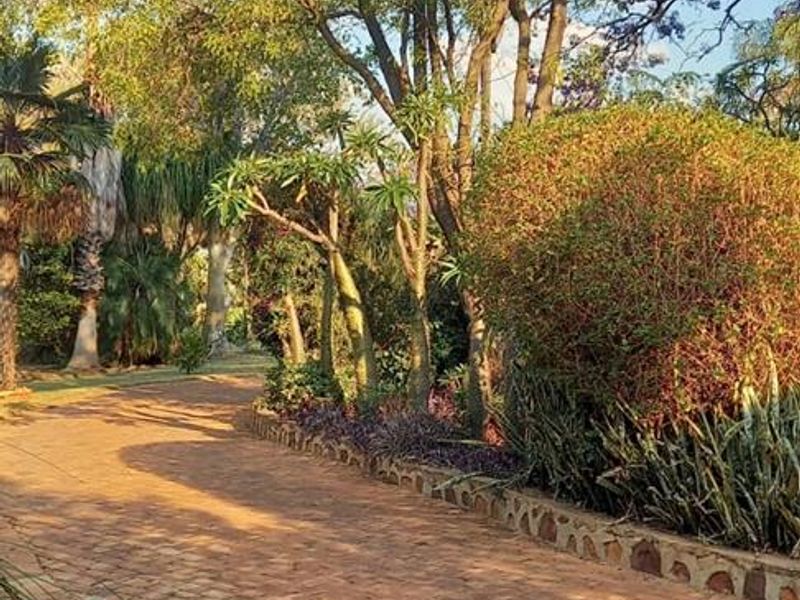 Great investment opportunity - Photo 6