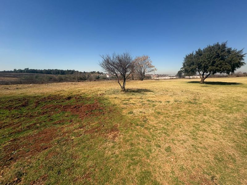 A wide-angle view of a vacant residential plot featuring open grassland and mature trees under a clear blue sky.