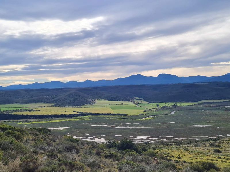 Discover your dream home at Outeniquasbosch Wildlife Village - Photo 7