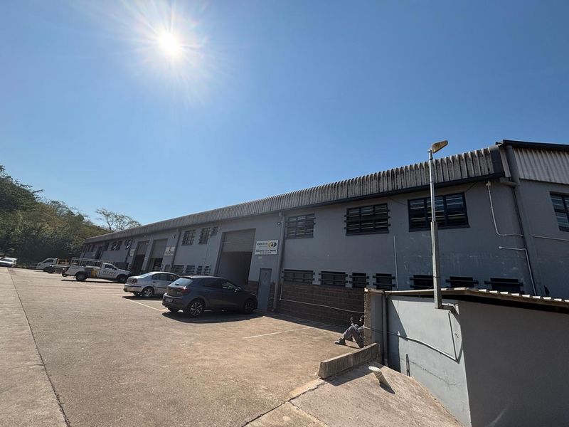 Industrial warehouse exterior featuring a concrete driveway, multiple roller shutter doors, and a functional facade with security lighting.