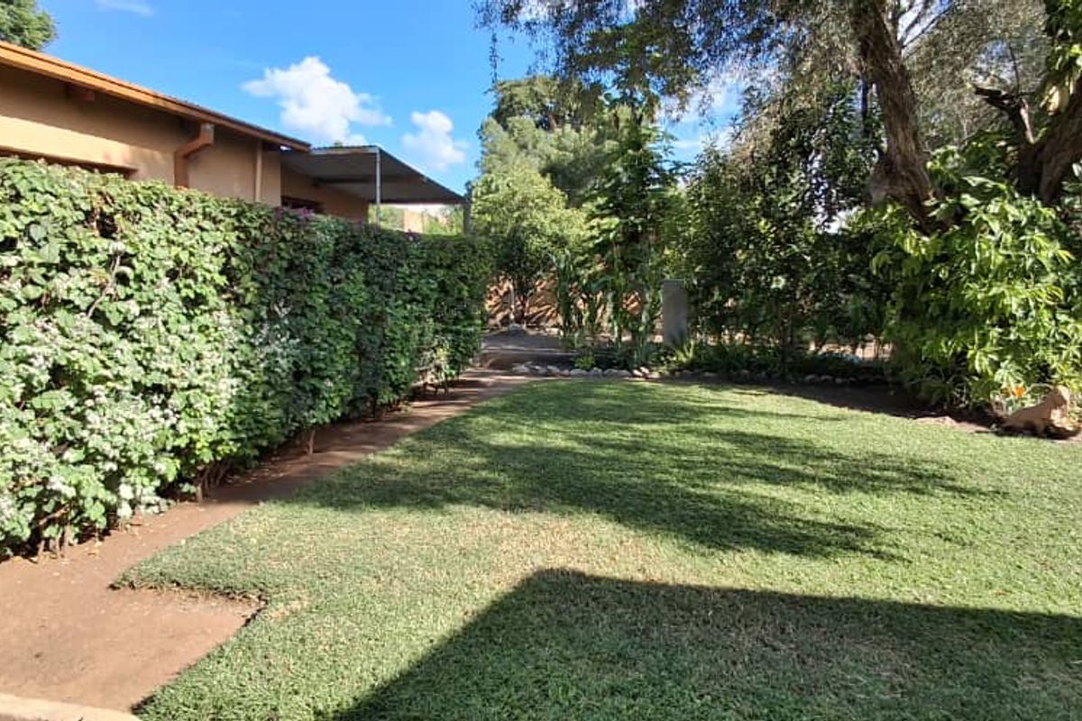 A well-maintained rear garden area featuring a manicured lawn, established hedge boundary, and mature trees adjacent to the house exterior.