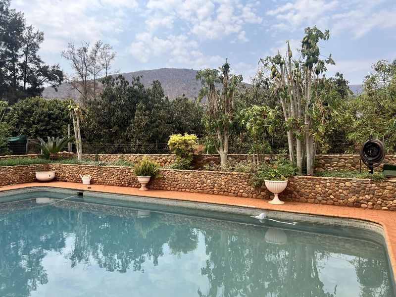Duel Property with Thriving Avo Orchard For Sale - Photo 9