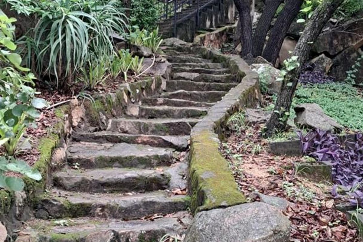 Investor’s dream - Photo 2