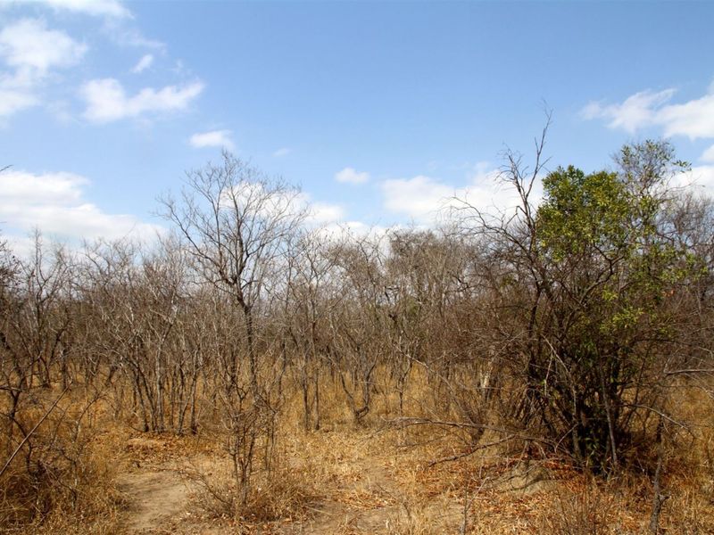 Vacant Land in MODITLO NATURE RESERVE - Photo 3