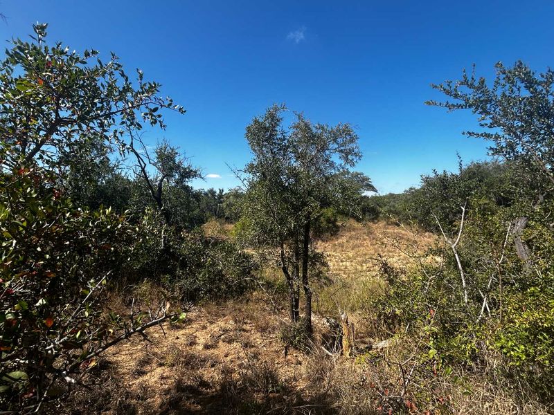 Prime vacant River Stand in Moditlo Nature Reserve - Photo 8