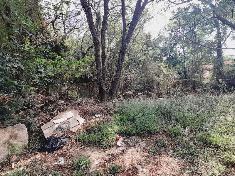 Tranquil & Convenient: Your Future Starts Here - Photo 7