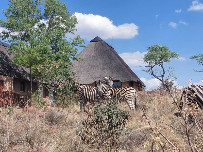 A view of a traditional thatched-roof farm building set within a natural landscape with wildlife.