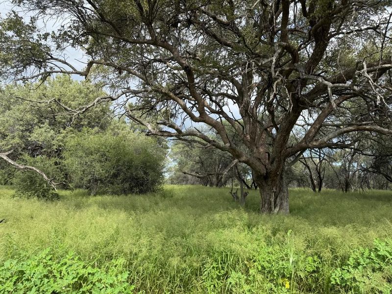 Live the Dream: 1500ha of Untamed Damaraland Bliss! - Photo 5