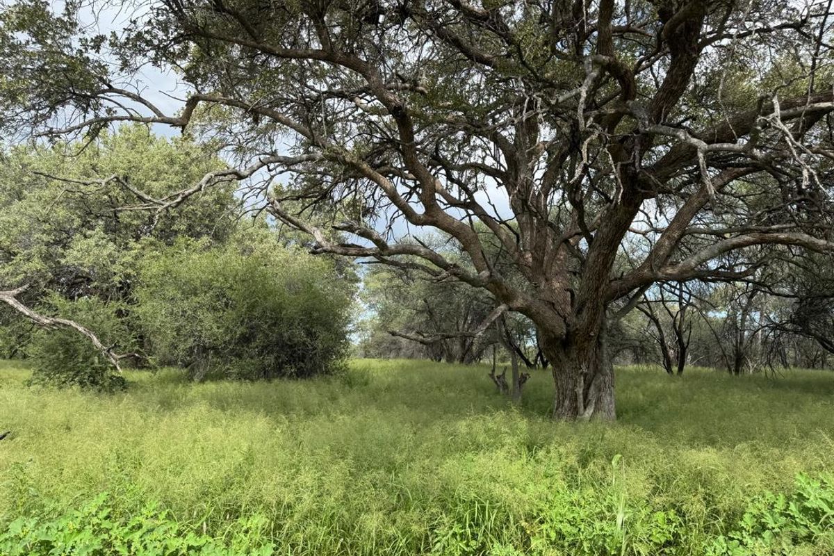 Live the Dream: 1500ha of Untamed Damaraland Bliss! - Photo 5