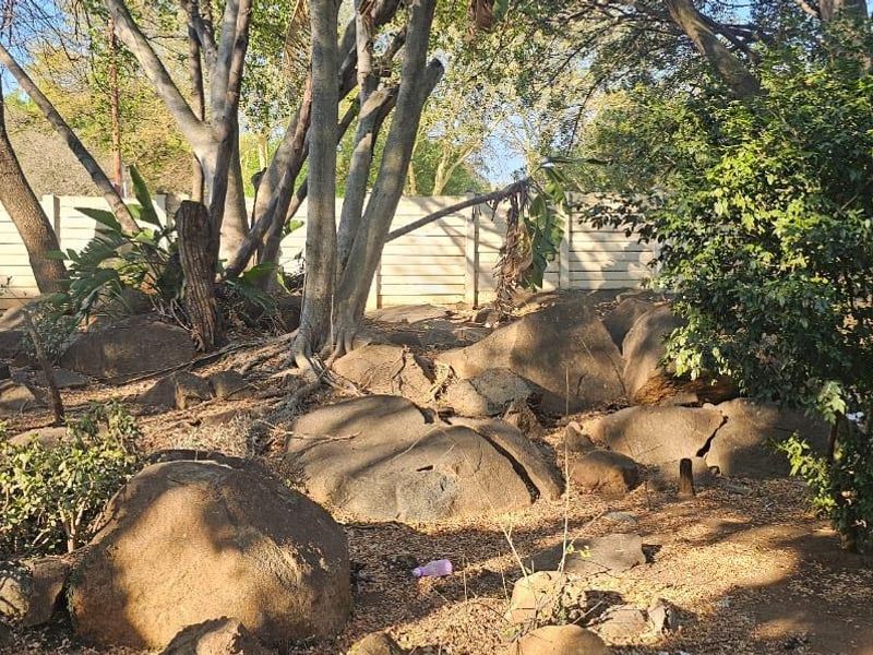 Spacious house in Elandsrand - Photo 7