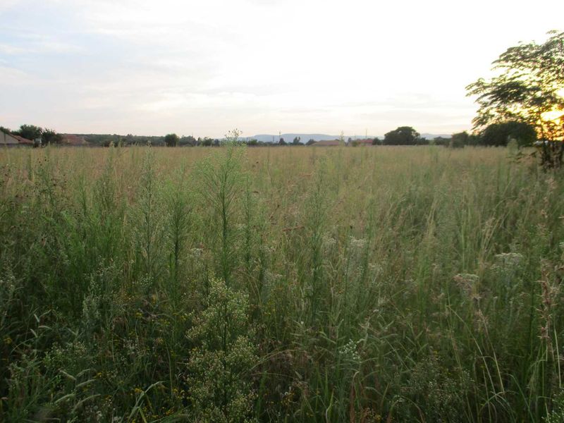 Calling all Developers - Photo 4