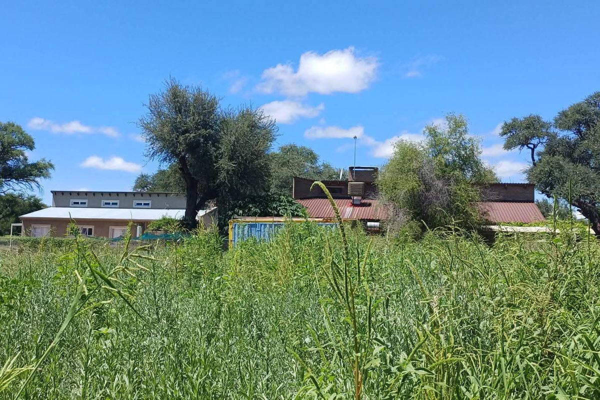 Build your dream home in the heart of nature! ✨ This beautiful vacant erf is situated in the sought-after Okakango River Estate, approximately 3km North-East of - Photo 5